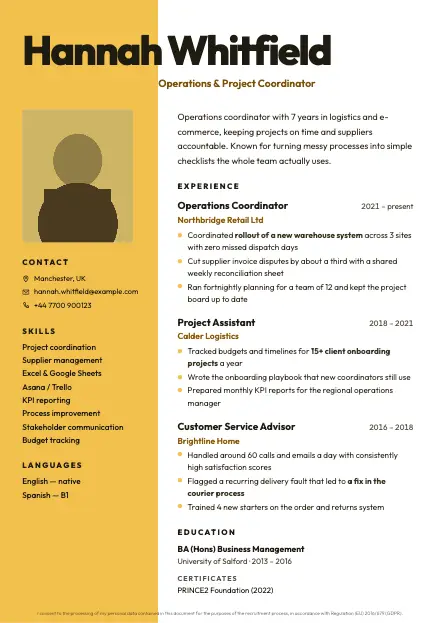 Duo CV template preview