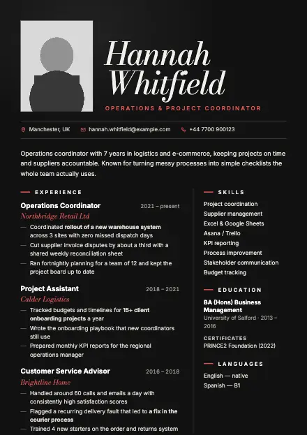 Noir CV template preview