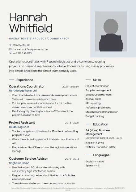 Nordic CV template preview with a sample CV