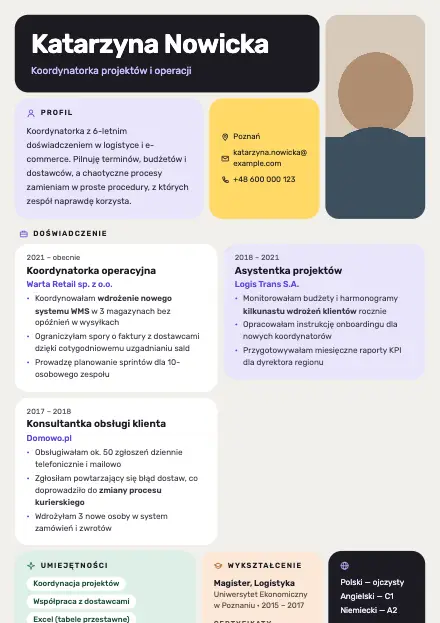 Podgląd wzoru CV Bento