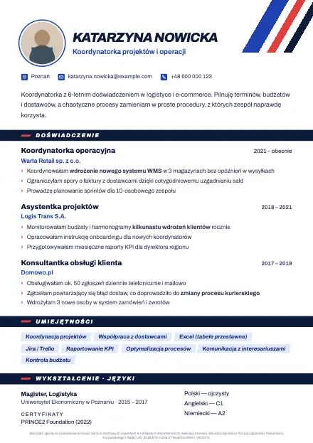 Podgląd wzoru CV Stripe